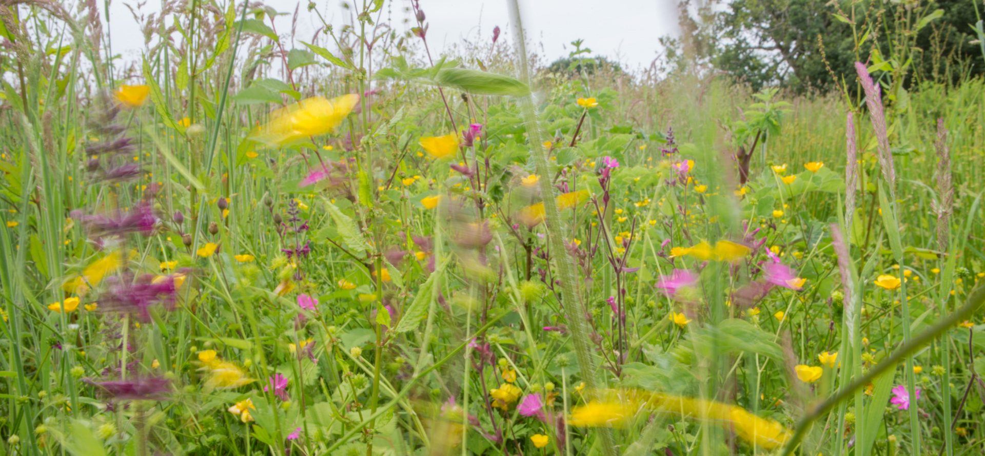 El cloud computing no acelera