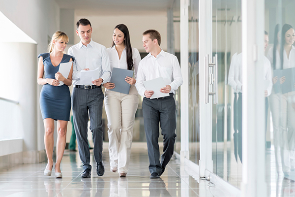 Porsche Holding Microsoft