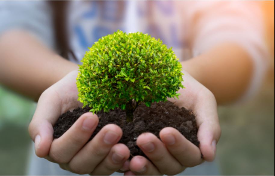 Los investigadores proponen un marco para medir el impacto social y ambiental de IA