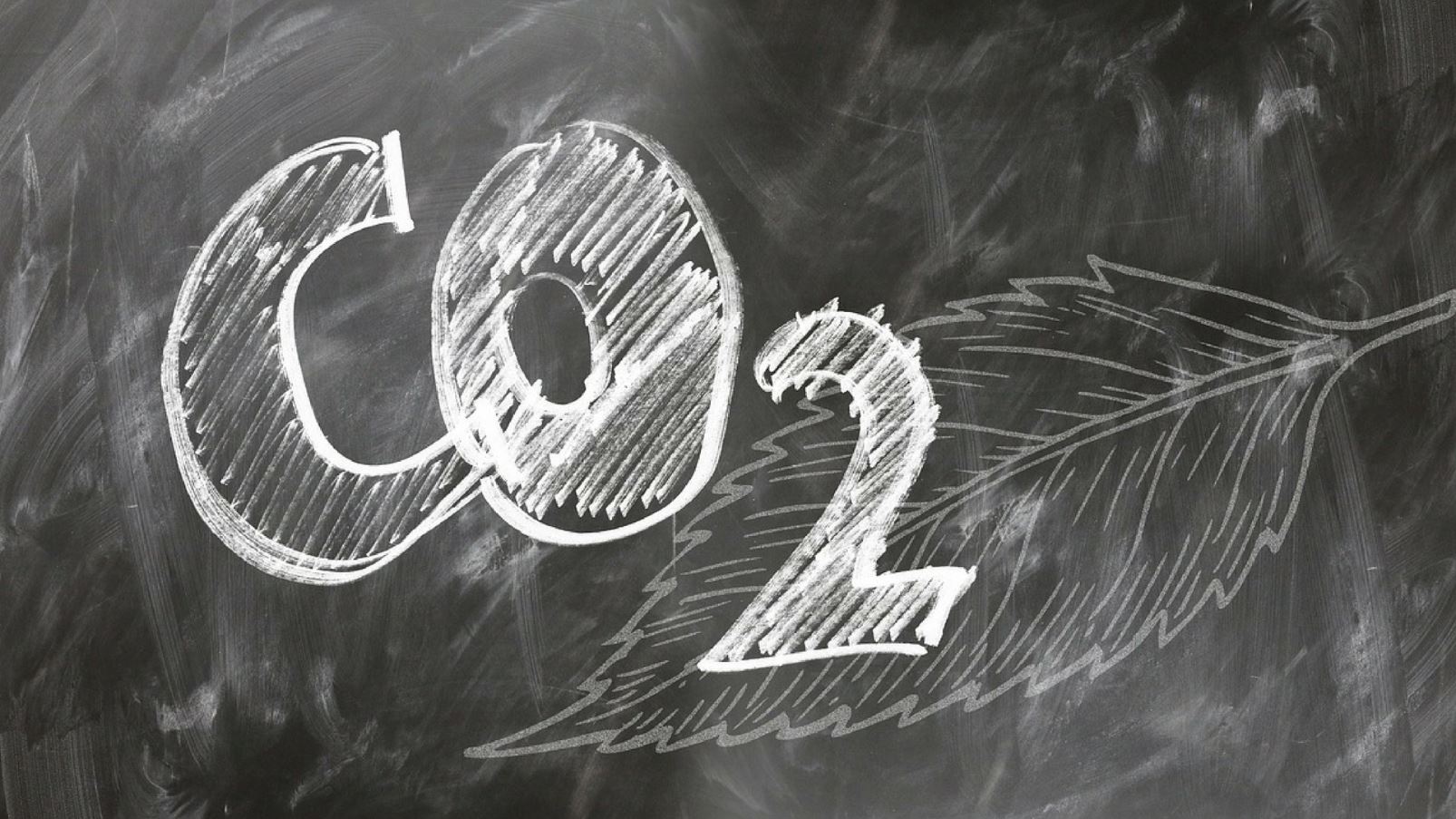 Los investigadores proponen un marco para medir el impacto social y ambiental de IA