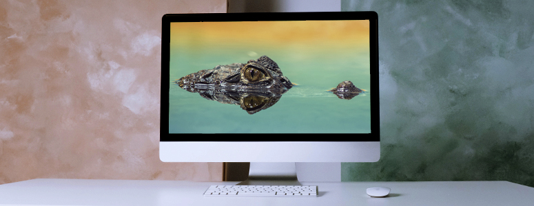 Disaster recovery Plan en Azure