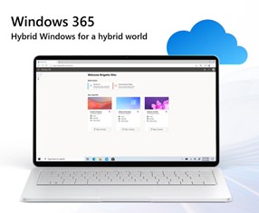 Hybrid Windows for a hybrid world