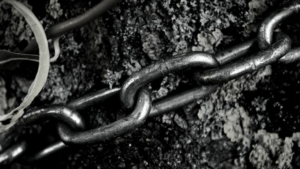 ¿Cómo aumentar la visibilidad de la cadena de suministro con tecnología?