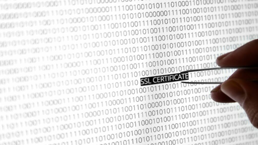 Cloudflare abre al público un programa de recompensas por errores de 3.000 dólares