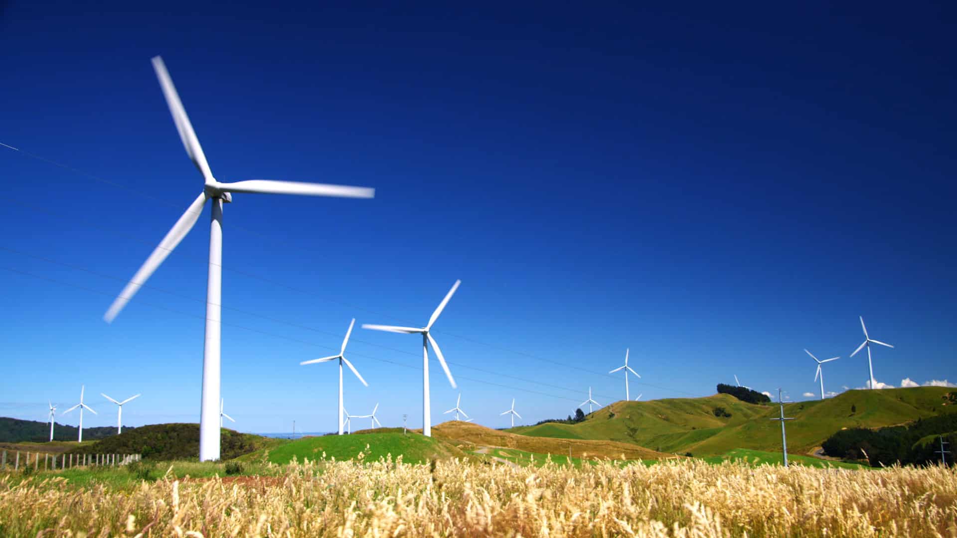 ¿Cómo una de las mayores empresas eólicas del mundo utiliza la IA para captar más energía?