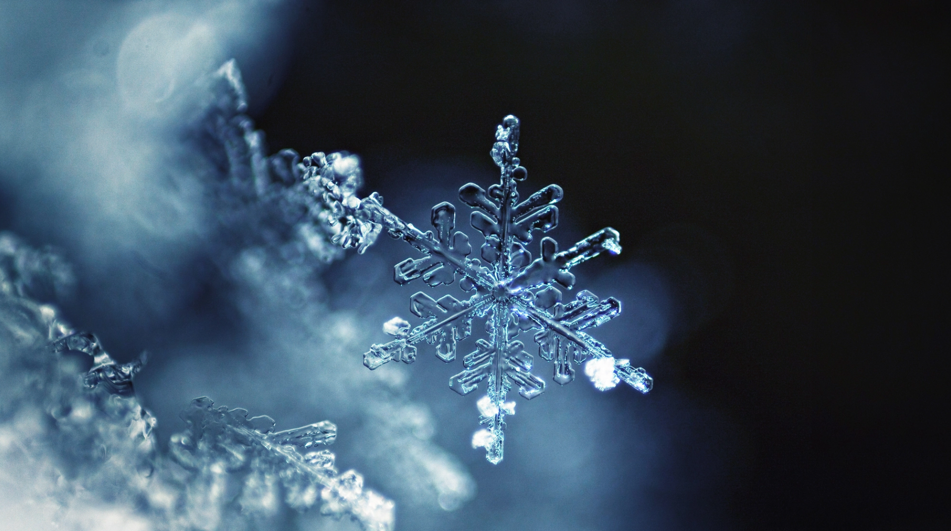 Snowflake presenta Cybersecurity Workload para hacer frente a las amenazas de sus datos en la nube