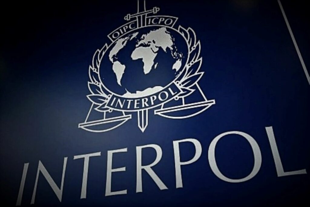 La Interpol detiene a 1.000 ciberdelincuentes en una operación antifraude de varios meses de duración