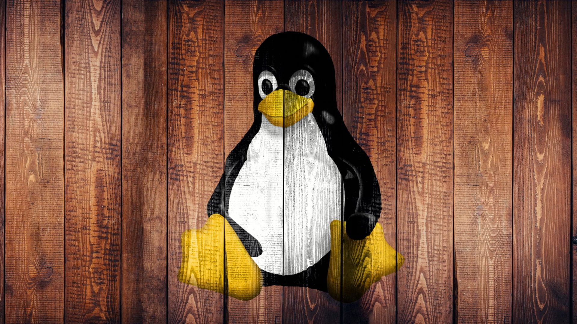 Los usuarios de Windows ahora pueden ejecutar aplicaciones y distribuciones de Linux de forma nativa
